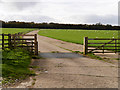 SE6082 : Cattle Grid and Track in Duncombe Park by David Dixon