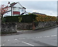 ST3090 : Contrasting hedges in autumn, Pillmawr Road, Malpas, Newport by Jaggery