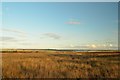 ND1856 : Moorland at Ouglassy Parks, Caithness by Andrew Tryon