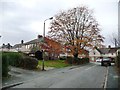 SK4155 : Late autumn tree, Byron Avenue, Alfreton by Christine Johnstone