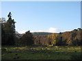 NO0242 : Parkland pasture and trees at Dunkeld by M J Richardson