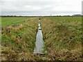 SE7602 : Anonymous field drain by Graham Hogg