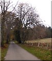 NO7397 : Approaching a northern edge of Ley Wood by Stanley Howe