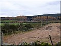 NO7393 : View SSW towards Bogforran by Stanley Howe