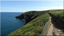  : Path leading out to Ram Head, Ardmore, Co Waterford by Colin Park