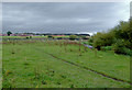 SJ9422 : Flood plain north of Baswich in Stafford by Roger  D Kidd