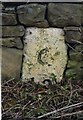 NZ0749 : Old Milestone by the A68, south of Allensford by IA Davison