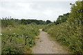 TQ0102 : Footpath  along the River Arun (set of 6 images) by N Chadwick