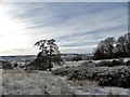 NZ1649 : Snowy fields south of Greencroft Park by Robert Graham