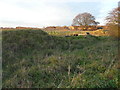 TR1035 : Former air raid shelter, Otterpool Road by John Baker