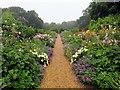 SZ4083 : The double herbaceous borders at Mottistone Manor by Steve Daniels