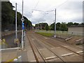 SJ8698 : Down the line from Holt Town by Gerald England