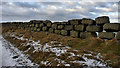 NZ0545 : Dry stone wall, Waskerley Way by Mick Garratt