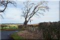 NT4365 : Road junction and signpost, Witches Syke Plantation by Jim Barton