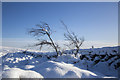 NT4231 : Bleak mid-winter on the Southern Upland Way by Walter Baxter