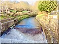 SX1083 : Fish Ladder on the River Camel, Camelford Bridge by Bill Henderson