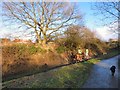 SJ9493 : Riding past the old oak tree by Gerald England