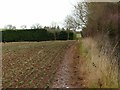 SK4636 : Footpath near Risley by Alan Murray-Rust