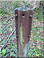 SY5397 : Railway Fencing on Bridport Branch Line (2) by Nigel Mykura