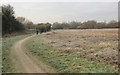 SP3879 : Sowe Valley path approaching Sowe Bridge, Walsgrave, east Coventry by Robin Stott