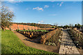 TQ4551 : Kitchen garden, Chartwell by Ian Capper