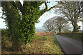 SX9475 : Holcombe Down Road by Derek Harper