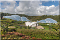 SX0454 : Eden Project by Ian Capper