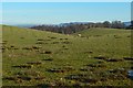 NS4085 : Field near Blairlinnans by Lairich Rig