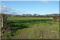 SO3959 : Farmland north of Pembridge by Philip Halling