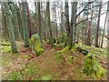 NH5449 : Tarradale Chambered Cairn by valenta