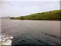 G9176 : Eske Estuary, Ballyboyle Island by David Dixon