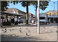 SJ9494 : Pigeons on Hyde Civic Square by Gerald England