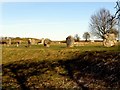 SU1070 : Part of the stone circle at Avebury by Steve Daniels