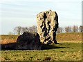 SU1070 : Standing stones in Avebury by Steve Daniels