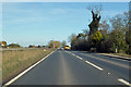 TF4406 : A47 South Brink towards Wisbech by Robin Webster