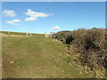 TV5496 : Kissing Gate, South Downs by PAUL FARMER