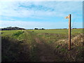 TG0543 : Public footpath, Cley-next-the-Sea by Malc McDonald