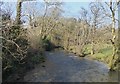 SX1061 : River Fowey, Restormel by Rob Farrow