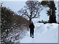 SJ1457 : A walk in the snow by Eirian Evans