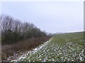 SJ8247 : Public footpath along edge of field by Jonathan Hutchins