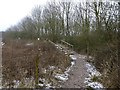 SJ8246 : Steps on path on Gorsty Bank by Jonathan Hutchins