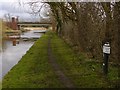 SK4329 : Trent and Mersey Canal near Field Farm by Alan Murray-Rust