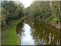 SK3927 : Trent and Mersey Canal at Weston Cliff by Alan Murray-Rust