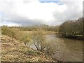 NZ2852 : Bend in the River Wear, Chester-le-Street by Graham Robson