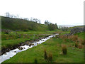 NY9039 : Hazard to navigation, Middlehope Burn by Andy Waddington