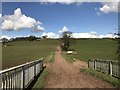 SJ7844 : Cattle track and bridleway off an M6 bridge by Jonathan Hutchins