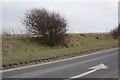 TQ3507 : B2123 The Drove, Falmer by Geographer