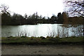 TQ3508 : Falmer Pond by Geographer