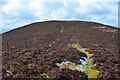 NT0846 : Heathery ridge, Black Mount by Jim Barton