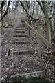 SO7139 : Steps leading up to Bradlow Knoll by Philip Halling